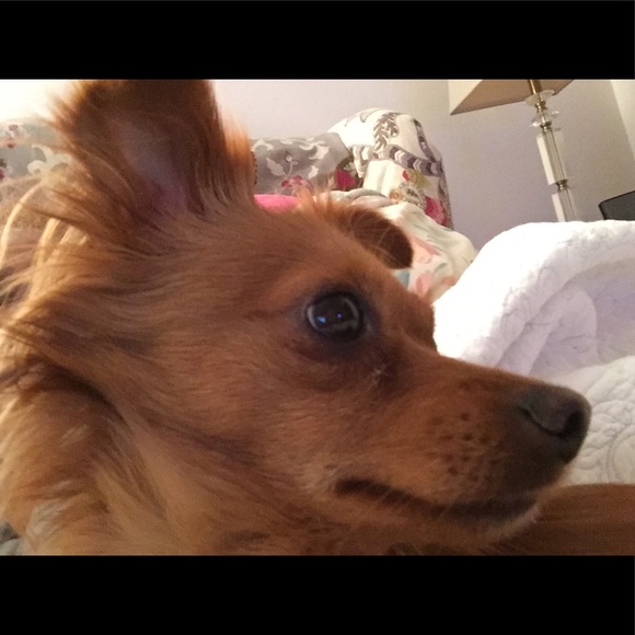 Meet your Posher, Arty B - Picture 1 of 1